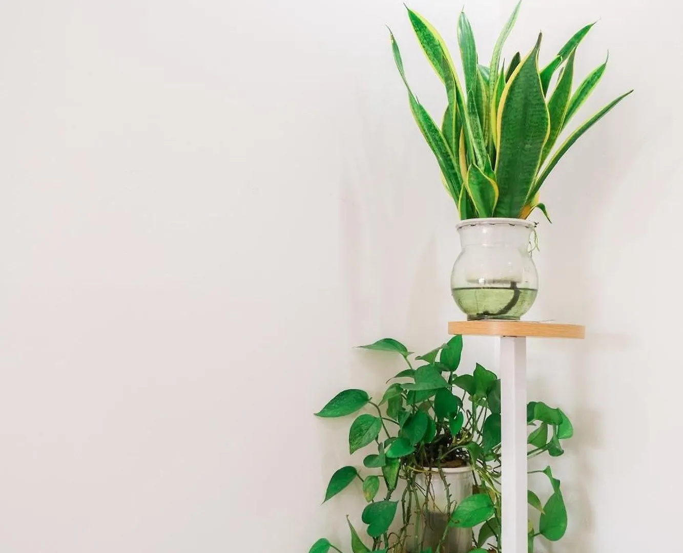 Apartmán Golden Art Vũng Tàu